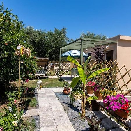 Bougainvillea House With Private Garden 칼라마타 외부 사진